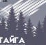 Туристический слёт «Тайга» запланирован на конец августа - Муравленко 24