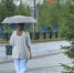 Осторожно: гроза! Ежегодно в мире от ударов молнии погибают тысячи людей - Муравленко 24