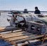 На Ямале модернизируют регстандарт минимальной обеспеченности тундровиков - Муравленко 24