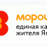 К проекту «Морошка» подключились 13 новых партнеров Ямала - Муравленко 24