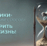 Муравленковцы могут принять участие в конкурсе социальной рекламы - Муравленко 24