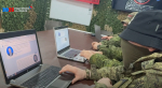На участие в программе «Герои Ямала» заявились 919 человек