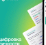 CVCODE – личный гид по саморазвитию на основе ИИ - Муравленко 24