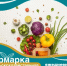Ярмарка свежих фруктов, ягод и овощей  - Администрация г. Муравленко