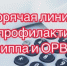 Как защититься от гриппа: консультации специалистов на "горячей линии" - Администрация г. Муравленко