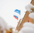 Ямальский парламент запустил информационный чат-бот - Муравленко 24