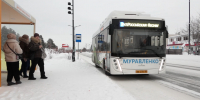 Карта «Морошка» – удобно и выгодно! - Муравленко 24