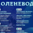 День оленевода пройдёт 14 марта - Администрация г. Муравленко