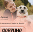 Форум «Добрино» приглашает участников со всей России - Муравленко 24